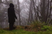 Hooded Witchmen