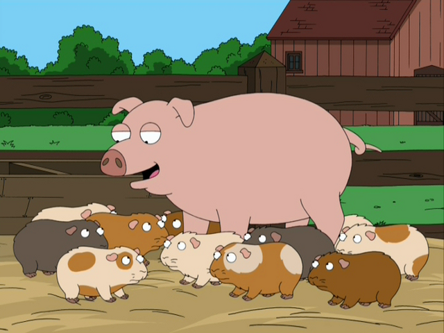 File:Pigguinepigs.png