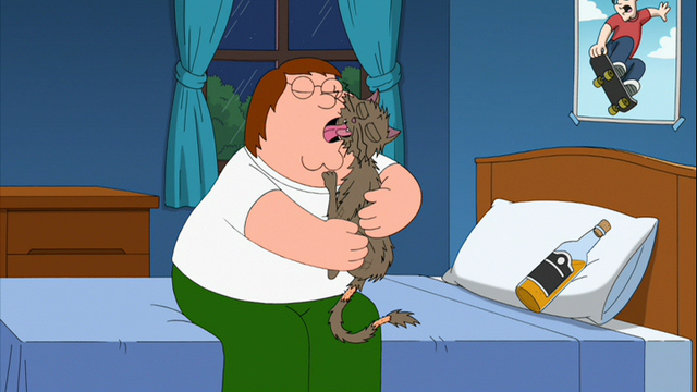 File:Drunkcat.png