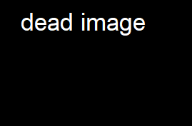 File:Equalitysaur Transparent.png