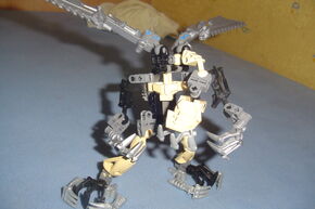 DSC08184