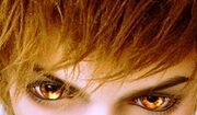 Eagle eyes