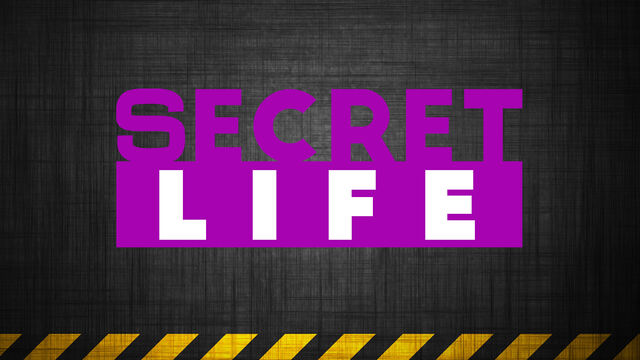 File:SecretLife.jpg