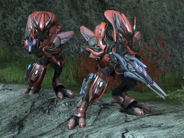 File:Sangheili -2.jpg