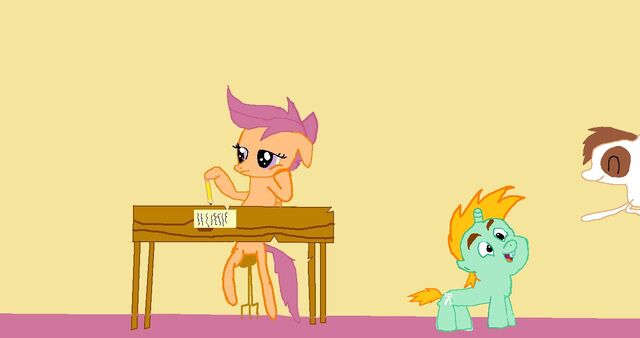 Plik:Scolatoo.jpg