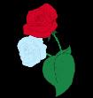 Plik:Rosebud CM by Lucida.JPG