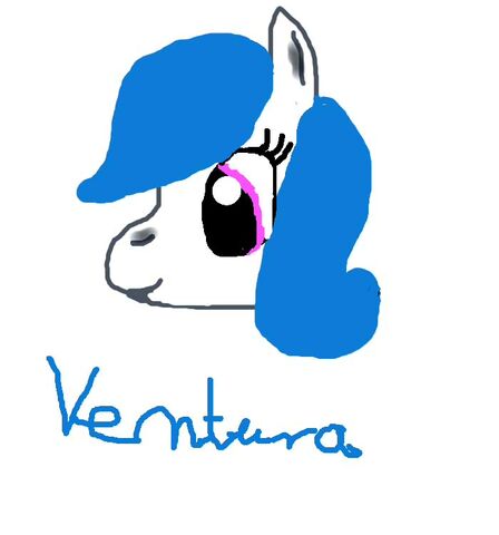 Plik:Venturka.jpg