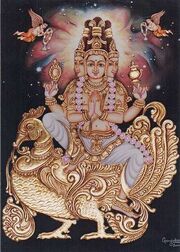 Brahma.jpg