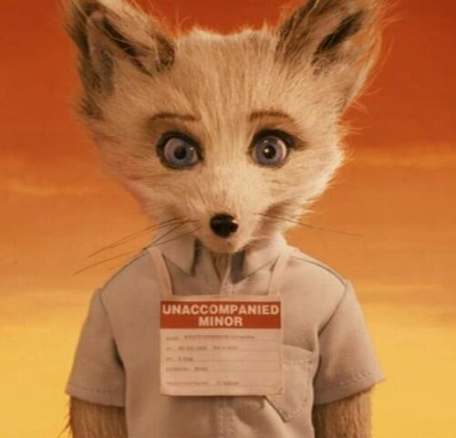 File:KristoffersonSilvefox.jpg