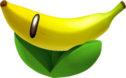 Banana Flower