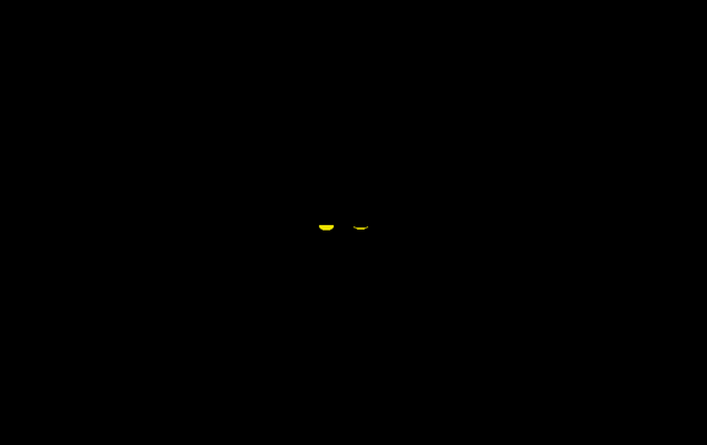 File:Whatyouareinthedark2.png