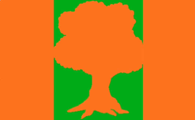 File:KentaFlag.png