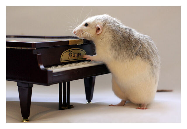 File:Piano.jpg
