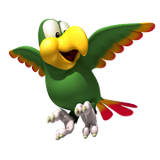 Squawks DKCR