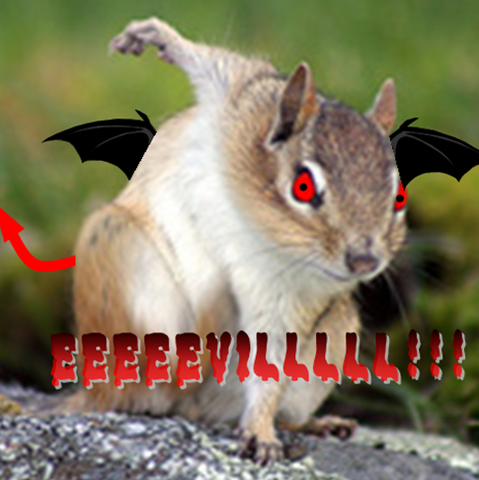 File:Taco The EVIL Chipmunk!.png