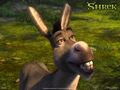 Thumbnail for version as of 03:01, July 24, 2012
