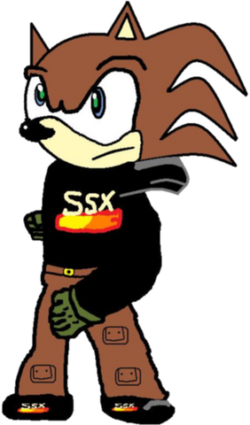File:Jek the Hedgehog.png
