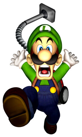 File:LM Luigi Flee.jpg