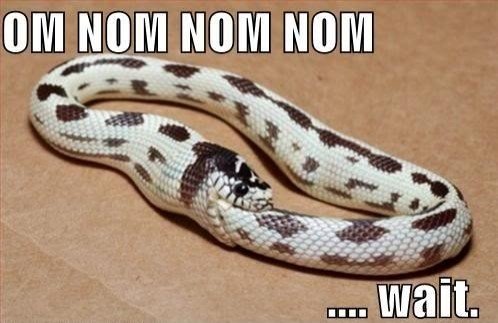 File:Omnomnomnom.jpg