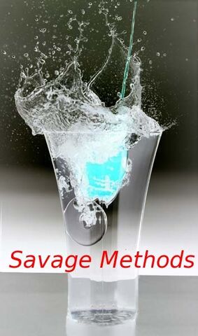 File:SavageMethodsLogo.jpg