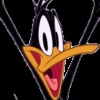 File:DaffySmall.png