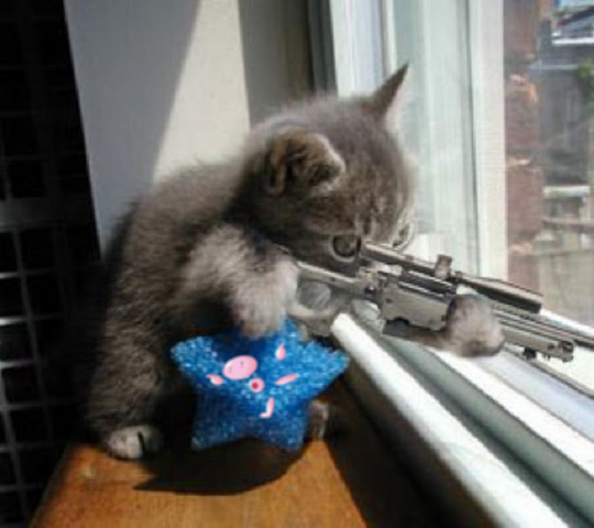 File:Sniperattyphoonhead.png