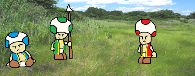 File:Toads2.png