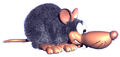 Thumbnail for version as of 19:39, March 5, 2012
