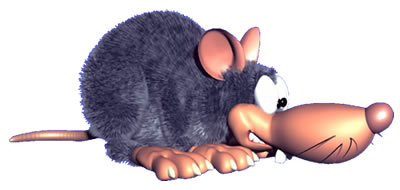 File:Neek.jpg