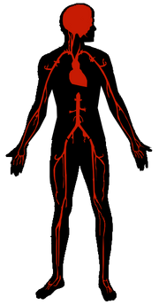 SANI-T picture