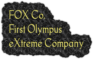 File:FOX Co. Logo.png