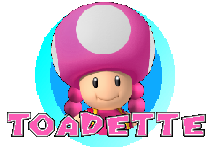 File:ToadetteIcon-MKU.png