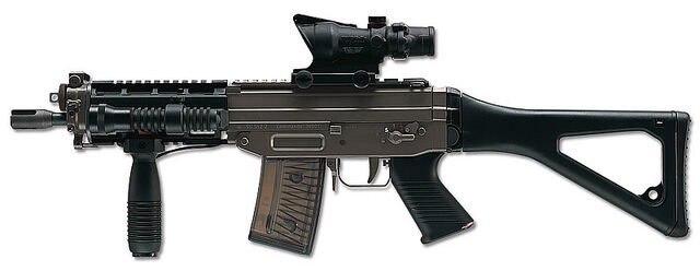 Datei:SIG 553.jpg