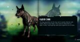 Rabid Dog