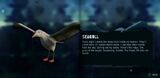 Seagull