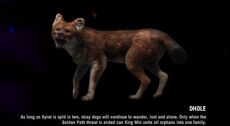 Dhole page
