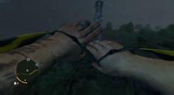 Wingsuit.png