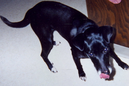 Davey