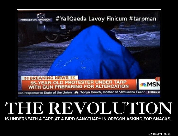 Image The Revolution is underneath a tarp at a bird sanctuary in