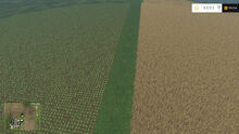 Split Field FS15