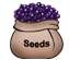 File:Grape Seed.jpg