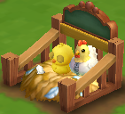 Nurserie avec poule