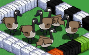 Brown Goose Gaggle