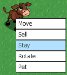 Stay Calf