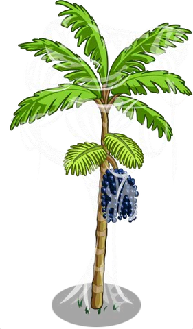 Arquivo:Acai4-icon.png