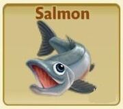 Salmon