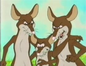 Rats