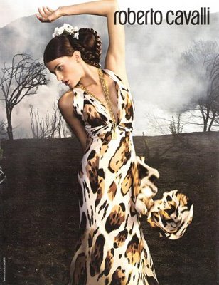 File:Cavalli.jpeg