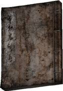 Mirroroflosstome