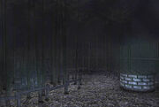 300px-Backyard.jpg